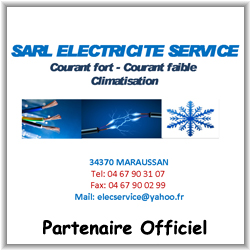 Sarl Electricité Service