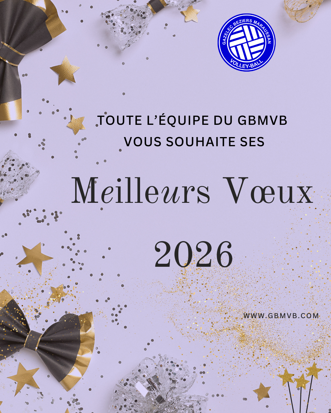 Meilleurs Voeux 2026